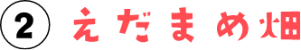 ② えだまめ畑